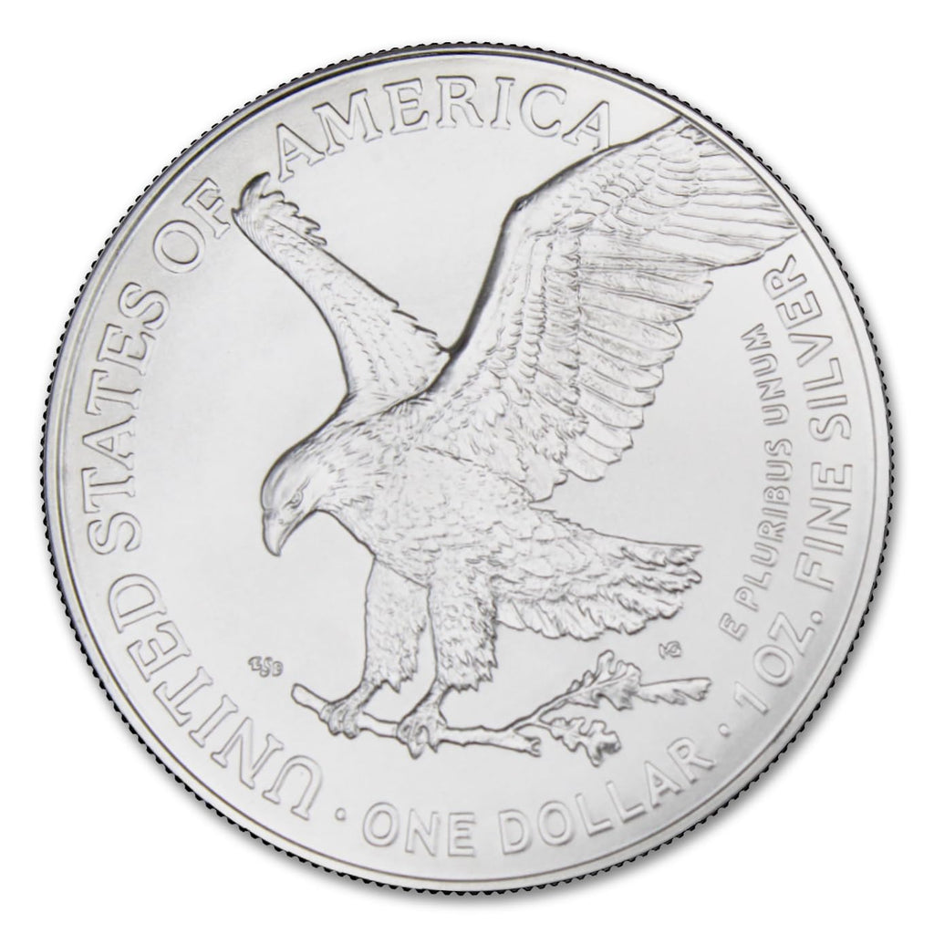 1 oz American Silver Eagle Coins I53787