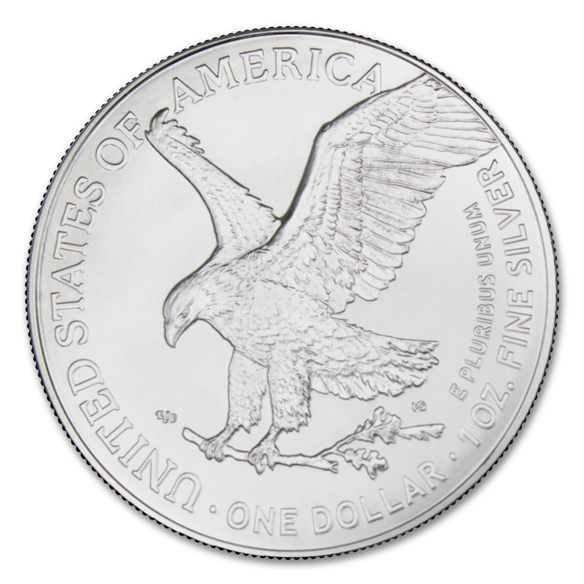 1 oz American Silver Eagle Coins I53787