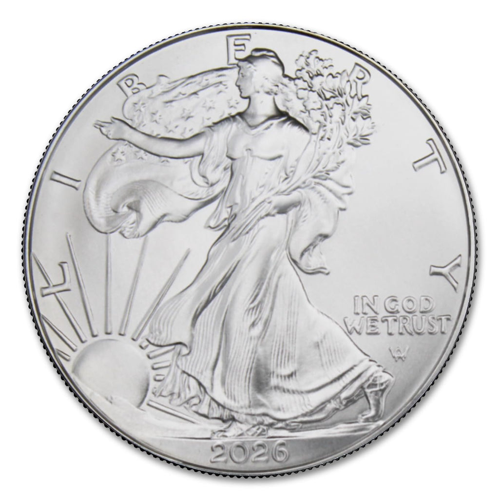1 oz American Silver Eagle Coins I53787