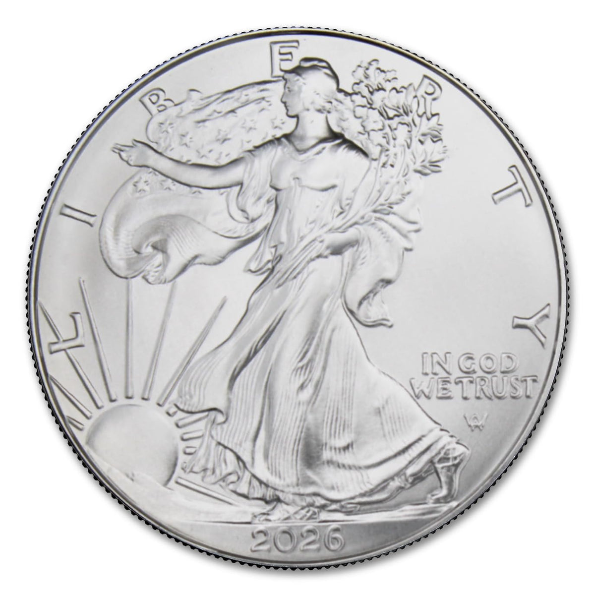 1 oz American Silver Eagle Coins I53787