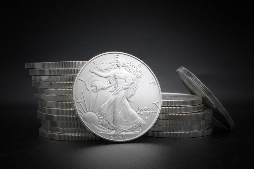 1 oz American Silver Eagle Coins I53787