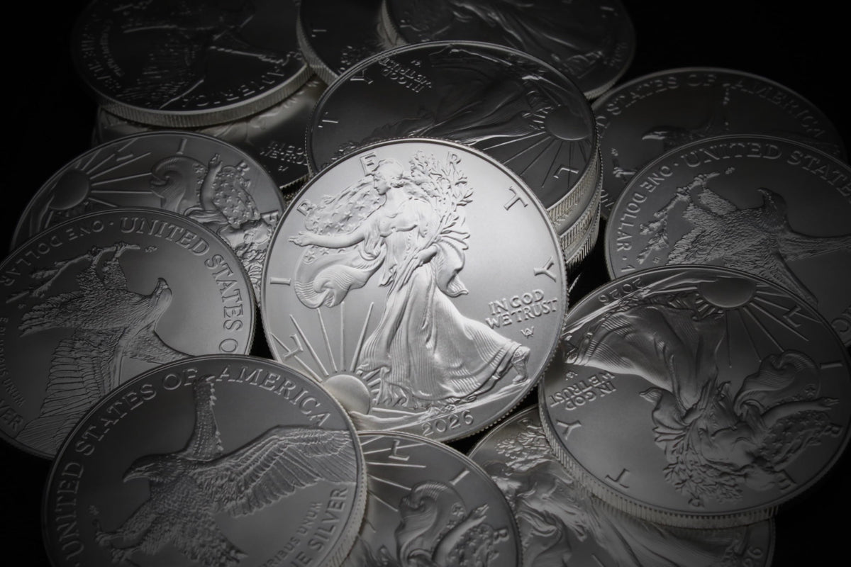 1 oz American Silver Eagle Coins I53787
