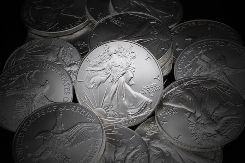 1 oz American Silver Eagle Coins I53787